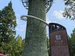 -黄海国家森林公园