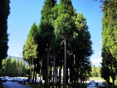 -武陵山森林公园