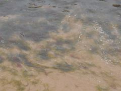 翡翠岛-翡翠岛