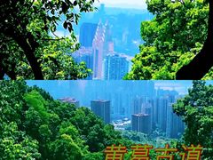 -南山植物园