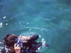 -西涌国际滨海旅游区