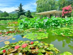 -国家植物园南园