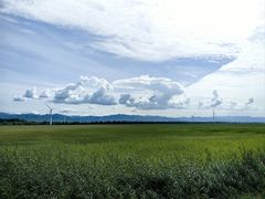 -野鸭湖国家湿地公园