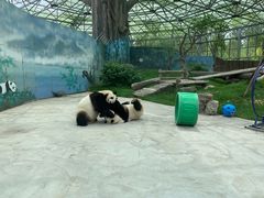 -鄂尔多斯野生动物园