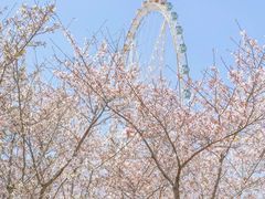 -北运河水利风景区