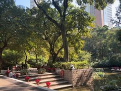 -九龙公园