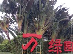 -万绿园