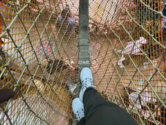 -正佳雨林生态植物园