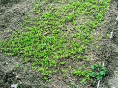 -邹记·美食(斗门店)