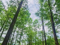 -牛岗山公园