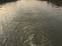 -长兴太湖图影湿地文化园