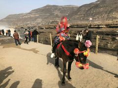 -陕西黄河壶口瀑布旅游区