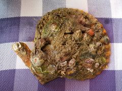 -钱大妈海鲜饭店(保利林语店)