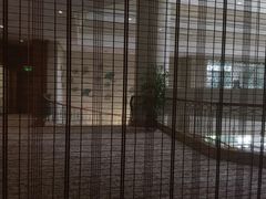 -莲苑中餐厅·Lotus Court(厦门马哥孛罗东方大酒店)