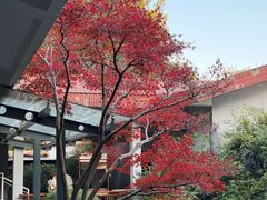 -中国茶叶博物馆(双峰馆区)