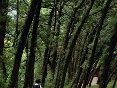 -七曲山风景区