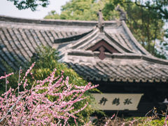-绍兴鲁迅故里·沈园景区