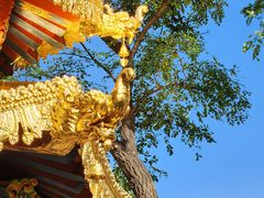 -护国法轮寺