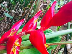 -华南国家植物园-售票处