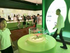 -广东省博物馆