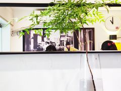 -Joymean coffee.见面咖啡