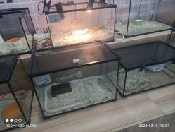 -Moni星球萌宠·小马宝莉·灵蛇·高端高阶全萌宠互动体验俱乐部(红豆国际广场店)