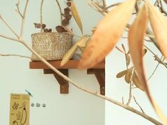-CAKE WANG千层制造所(省府店)