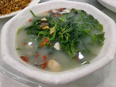上汤桑叶-姚林轩