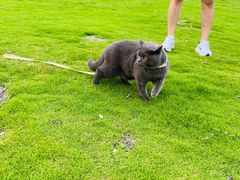 -不觉晓CAMPING(上海迪士尼营地店)