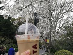 -COSTA COFFEE(上海虹口公园店)