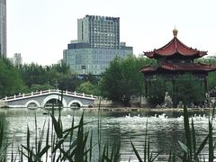 -青城公园