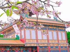 -宝墨园景区