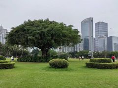 -万绿园