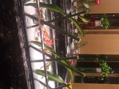 -博悦公馆尚悦自助餐厅