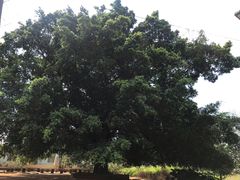 -涠洲岛-圣母堂