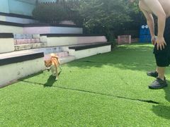 -汪说喵讲宠物乐园宠物酒店(红星美凯龙店)