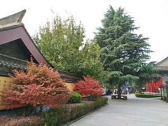 -法门文化景区