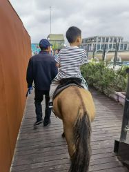 -小蜜蜂农场(凯德七宝购物广场店)