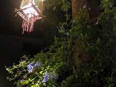 -天然居(伦教店)