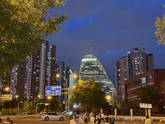 -大望京公园