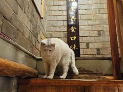 -张记牛肉面馆(天津路店)