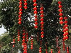 -深圳仙湖植物园