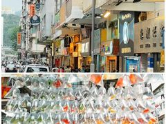 -香港宠物街