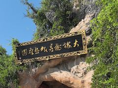 -大槐树寻根祭祖园