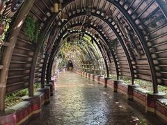 -厦门方特水上乐园