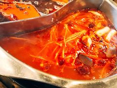 -川成串·自助串串香火锅(朝阳店)