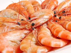 豉油王基围虾-围龙屋客家食府(福田店)