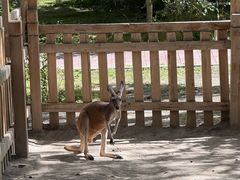 -水上乐园·欢乐世界