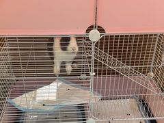 -大象厨房(重庆道店)