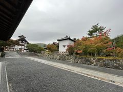 -天龙寺